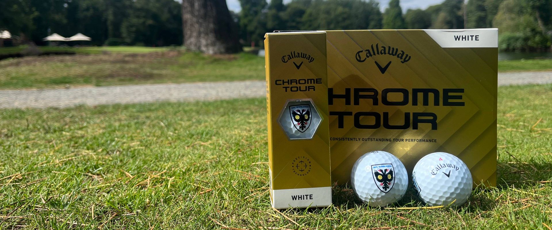 Callaway x AFC Wimbledon