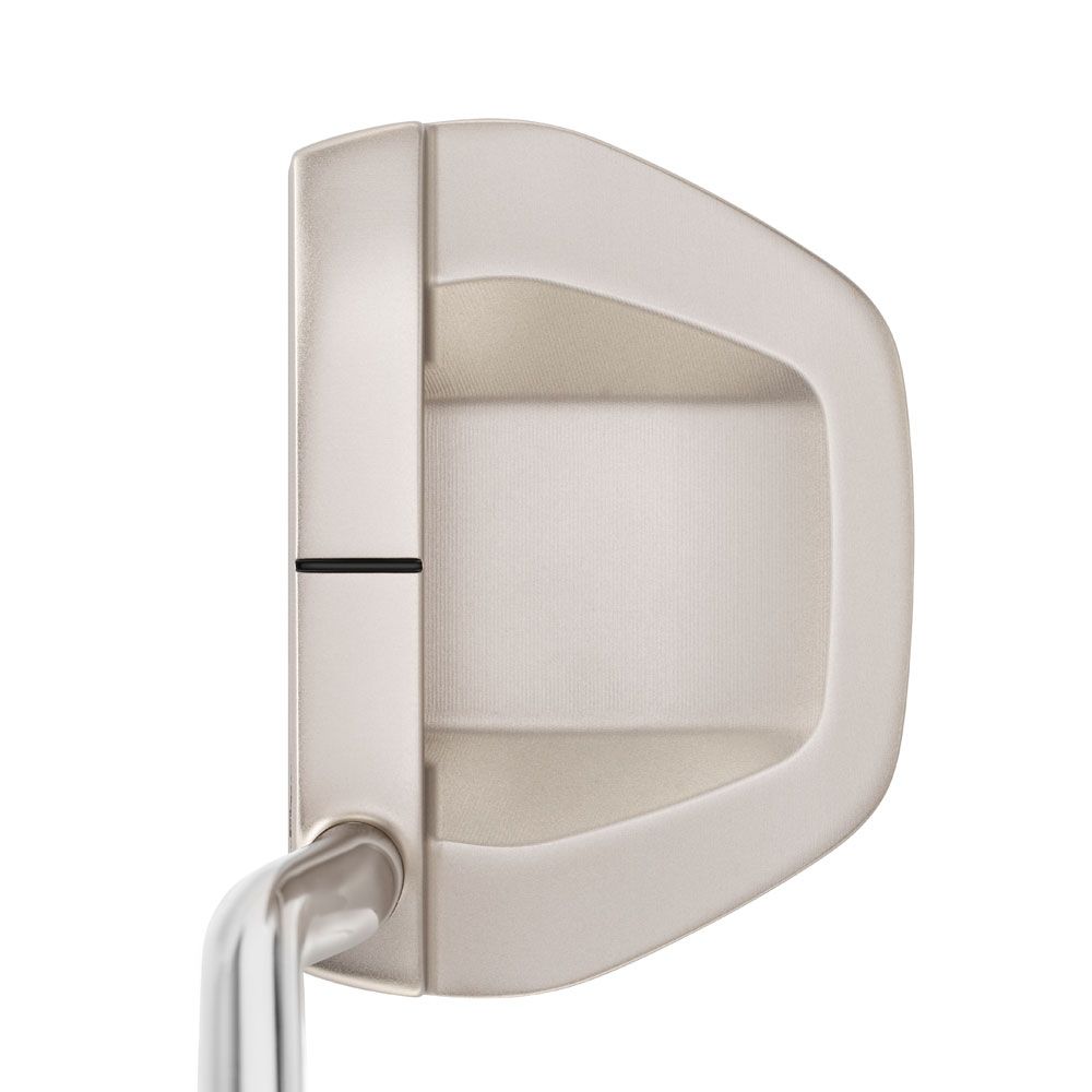 MIZUNO Mizuno M.CRAFT Nagoya B Silver B Putter