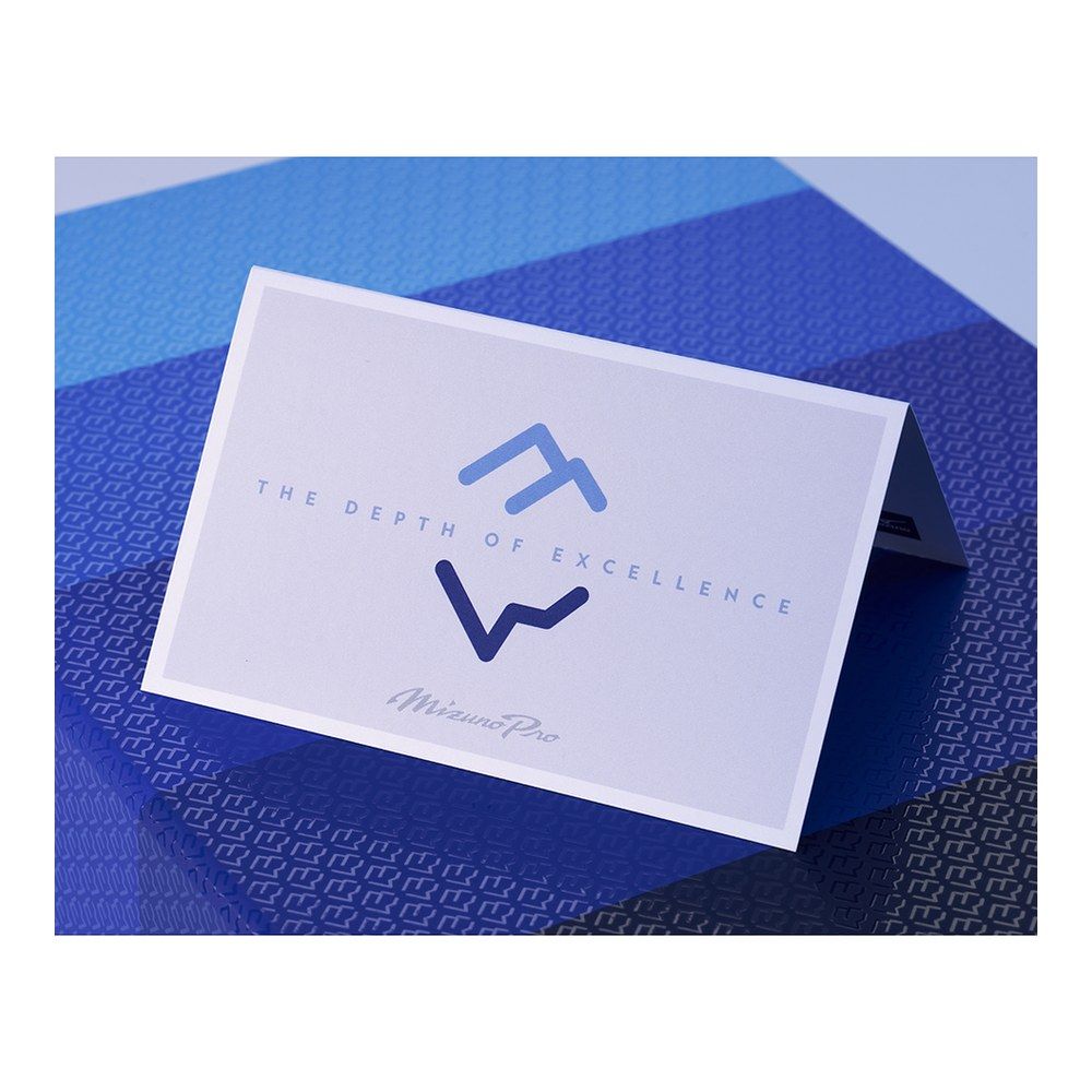 MIZUNO Mizuno Pro Iceberg LTD Stiff Irons