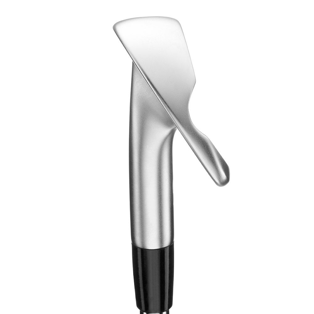 MIZUNO Mizuno PRO S-1 Steel Irons